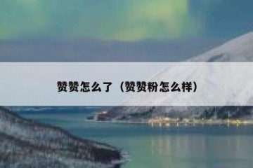 赞赞怎么了（赞赞粉怎么样）