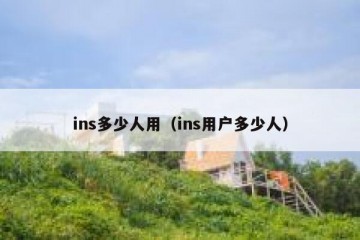 ins多少人用（ins用户多少人）