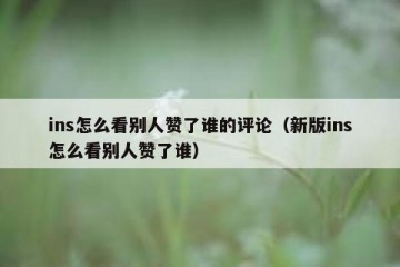 ins怎么看别人赞了谁的评论（新版ins怎么看别人赞了谁）