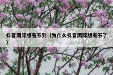 抖音国际版看不到（为什么抖音国际版看不了）