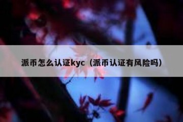 派币怎么认证kyc（派币认证有风险吗）