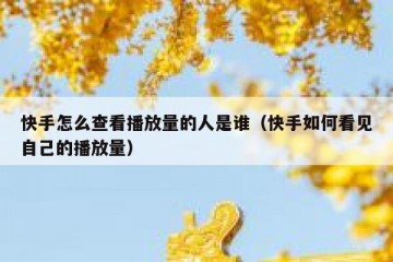 快手怎么查看播放量的人是谁（快手如何看见自己的播放量）