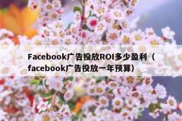 Facebook广告投放ROI多少盈利（facebook广告投放一年预算）