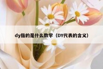 dy指的是什么数学（DY代表的含义）