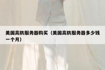 美国高防服务器购买（美国高防服务器多少钱一个月）