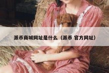 派币商城网址是什么（派币 官方网址）