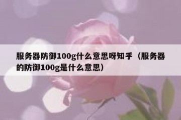 服务器防御100g什么意思呀知乎（服务器的防御100g是什么意思）