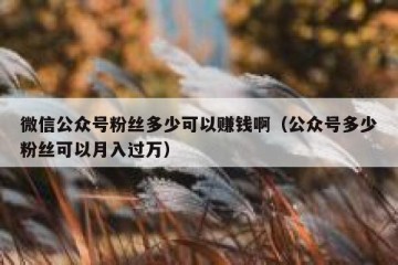 微信公众号粉丝多少可以赚钱啊（公众号多少粉丝可以月入过万）