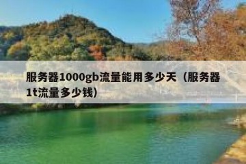 服务器1000gb流量能用多少天（服务器1t流量多少钱）