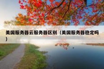 美国服务器云服务器区别（美国服务器稳定吗）