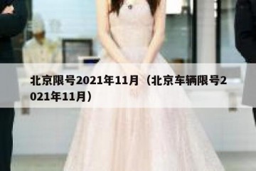 北京限号2021年11月（北京车辆限号2021年11月）