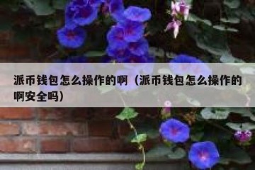 派币钱包怎么操作的啊（派币钱包怎么操作的啊安全吗）