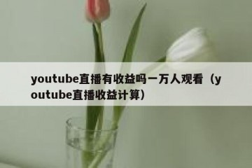 youtube直播有收益吗一万人观看（youtube直播收益计算）