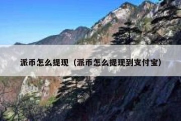 派币怎么提现（派币怎么提现到支付宝）