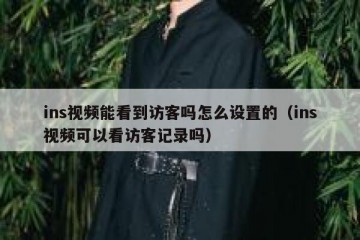 ins视频能看到访客吗怎么设置的（ins视频可以看访客记录吗）