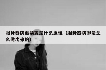 服务器防潮装置是什么原理（服务器防御是怎么做出来的）