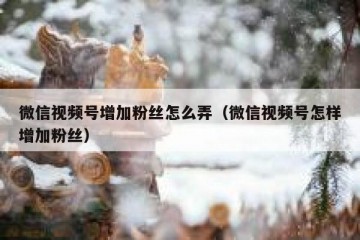 微信视频号增加粉丝怎么弄（微信视频号怎样增加粉丝）
