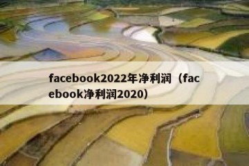 facebook2022年净利润（facebook净利润2020）