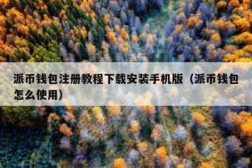 派币钱包注册教程下载安装手机版（派币钱包怎么使用）