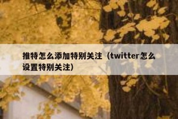 推特怎么添加特别关注（twitter怎么设置特别关注）