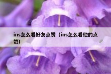 ins怎么看好友点赞（ins怎么看他的点赞）