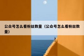 公众号怎么看粉丝数量（公众号怎么看粉丝数量）