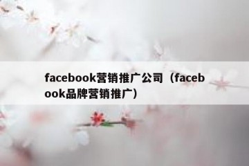 facebook营销推广公司（facebook品牌营销推广）