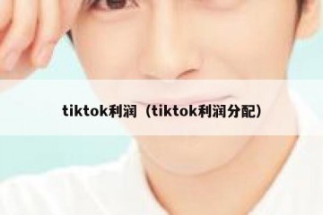 tiktok利润（tiktok利润分配）