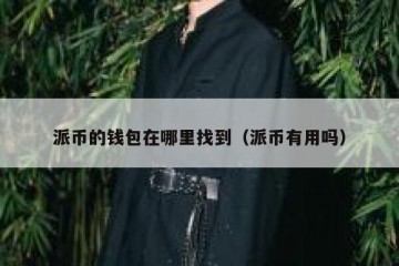 派币的钱包在哪里找到（派币有用吗）