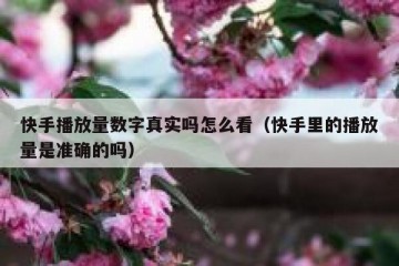 快手播放量数字真实吗怎么看（快手里的播放量是准确的吗）