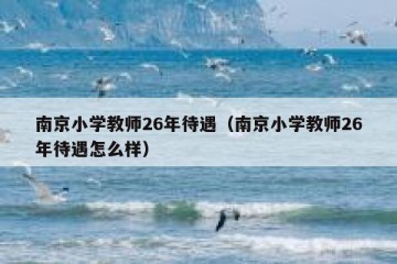 南京小学教师26年待遇（南京小学教师26年待遇怎么样）