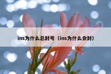 ins为什么总封号（ins为什么会封）