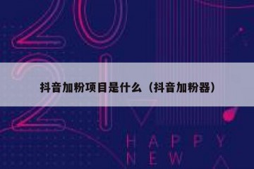 抖音加粉项目是什么（抖音加粉器）