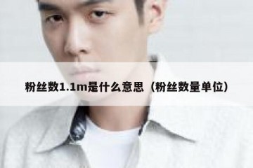 粉丝数1.1m是什么意思（粉丝数量单位）