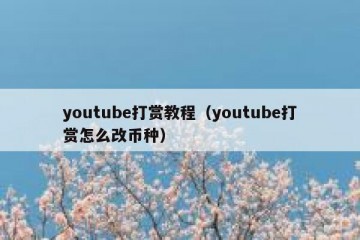 youtube打赏教程（youtube打赏怎么改币种）