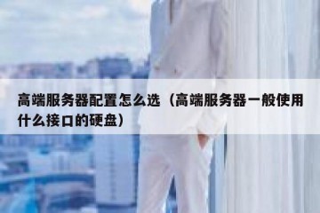 高端服务器配置怎么选（高端服务器一般使用什么接口的硬盘）