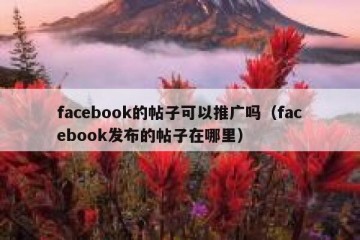 facebook的帖子可以推广吗（facebook发布的帖子在哪里）