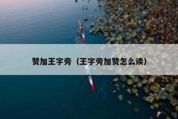 赞加王字旁（王字旁加赞怎么读）