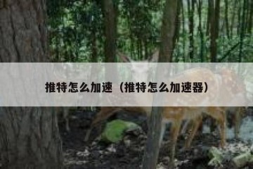 推特怎么加速（推特怎么加速器）