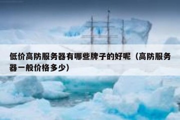 低价高防服务器有哪些牌子的好呢（高防服务器一般价格多少）