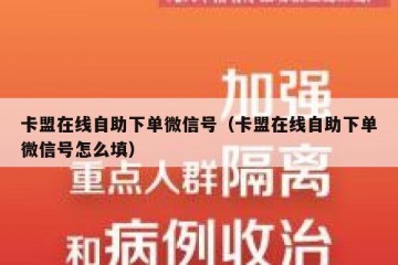 卡盟在线自助下单微信号（卡盟在线自助下单微信号怎么填）