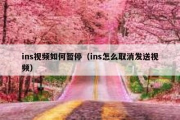 ins视频如何暂停（ins怎么取消发送视频）