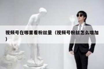 视频号在哪里看粉丝量（视频号粉丝怎么增加）