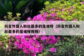 抖音外国人粉丝最多的是谁呀（抖音外国人粉丝最多的是谁呀视频）