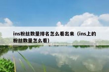 ins粉丝数量排名怎么看出来（ins上的粉丝数量怎么看）