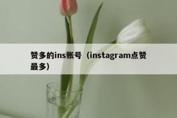 赞多的ins账号（instagram点赞最多）