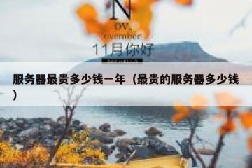 服务器最贵多少钱一年（最贵的服务器多少钱）