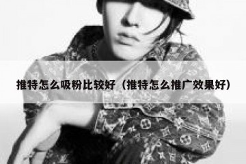 推特怎么吸粉比较好（推特怎么推广效果好）