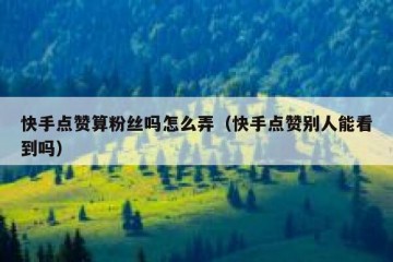 快手点赞算粉丝吗怎么弄（快手点赞别人能看到吗）