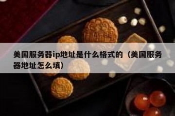 美国服务器ip地址是什么格式的（美国服务器地址怎么填）